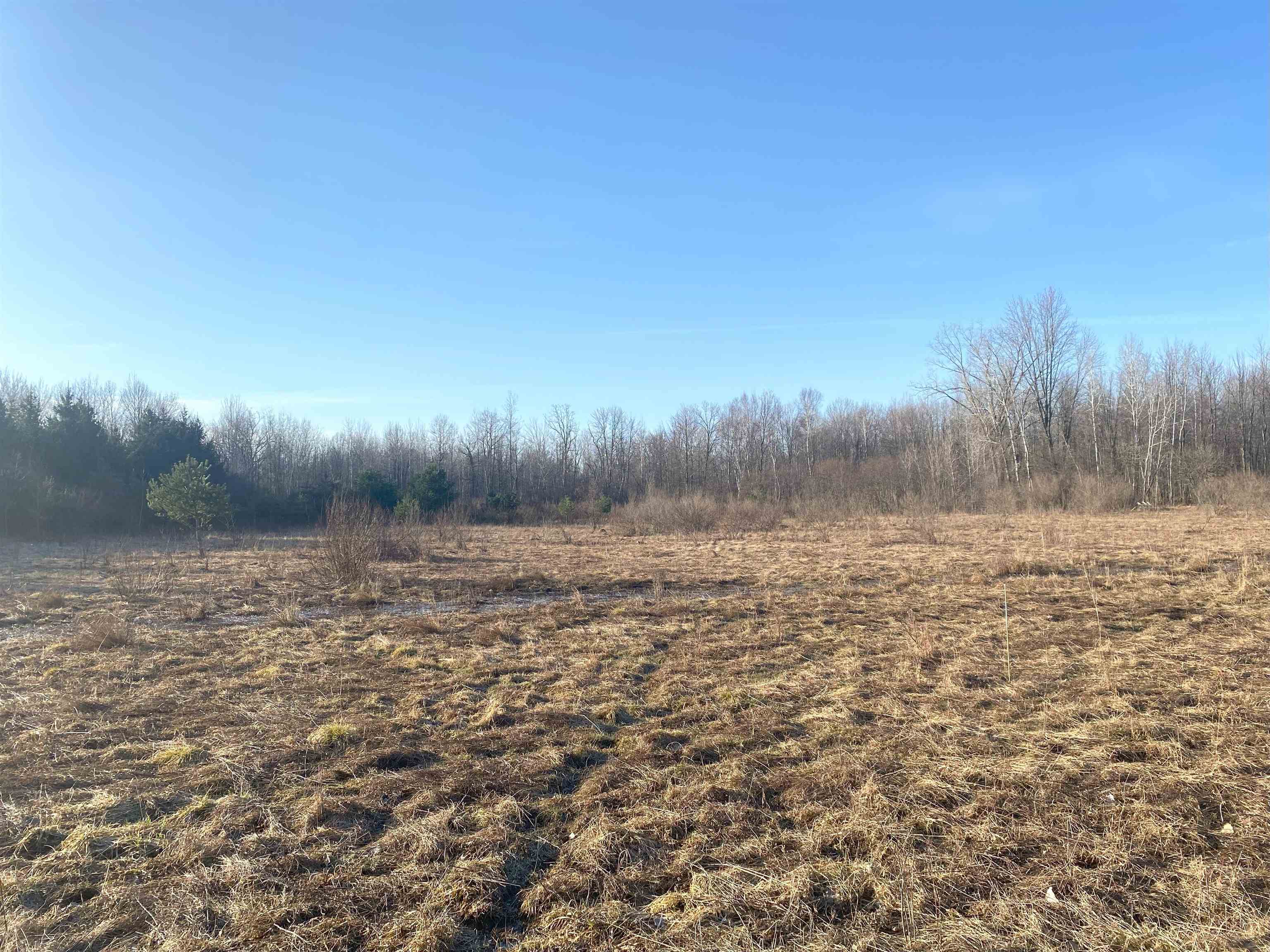 Tbd East Jordan Road Mount Pleasant, MI 48858 - Photo 2 of 15