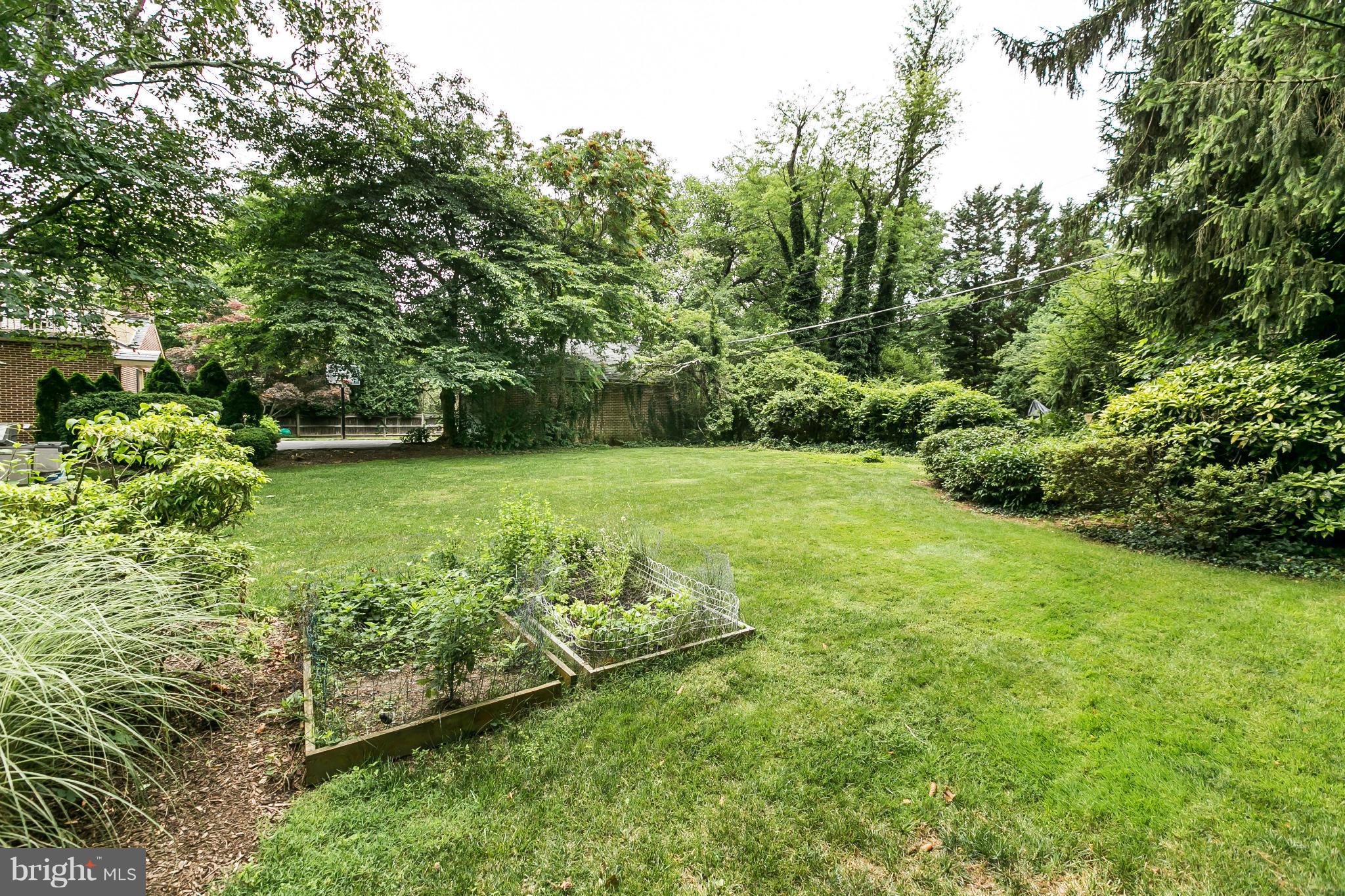 203 Midhurst Road Baltimore, MD 21212 - Photo 28 of 30 a view of a green yard with large trees