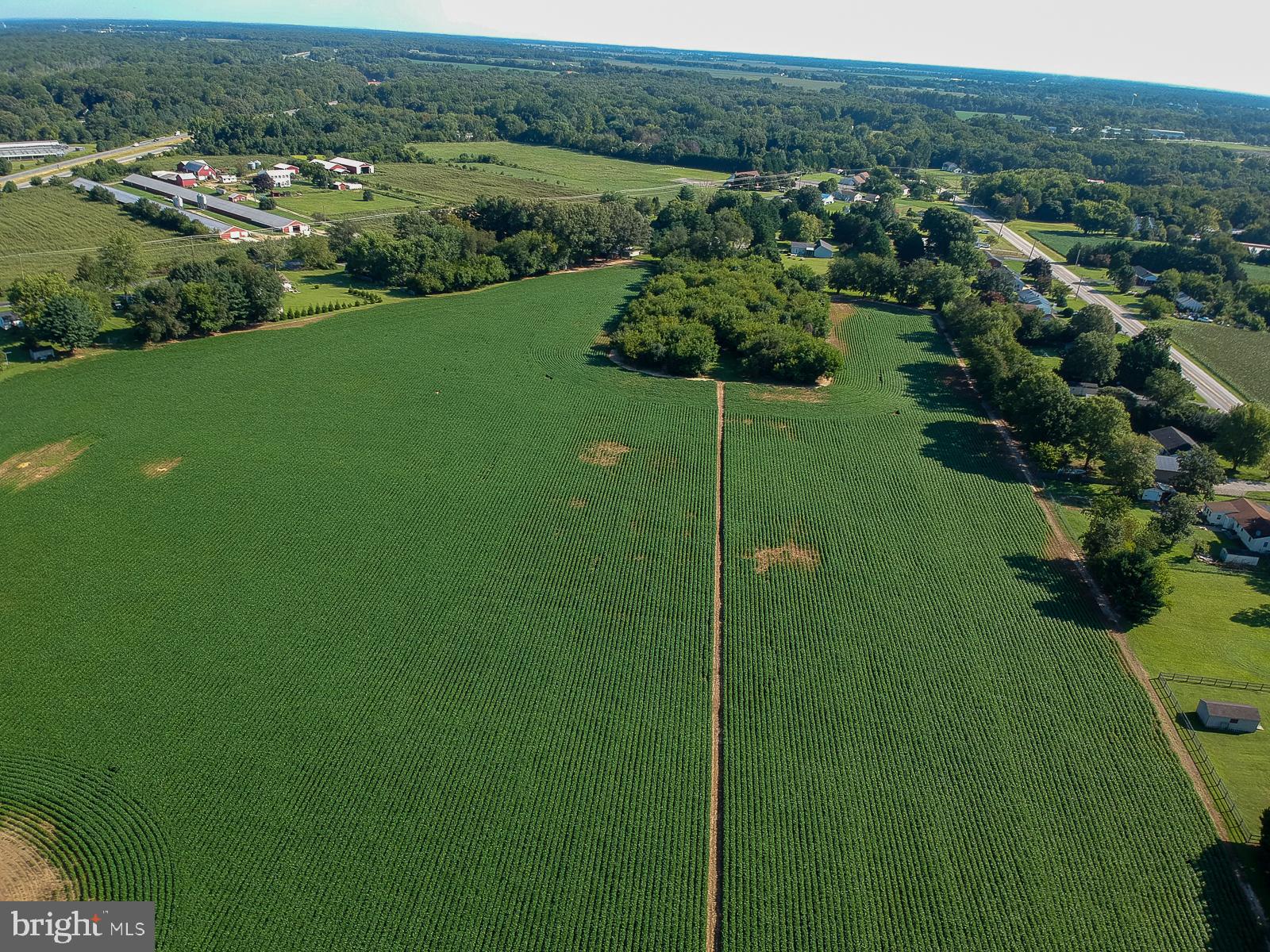 2321 Millington Road Millington, MD 21651 - Photo 56 of 61 Open farmland and wooded area