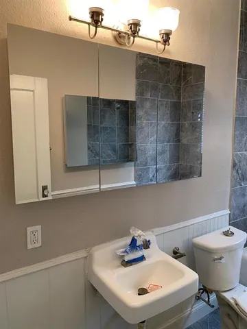 a bathroom with a sink and a toilet