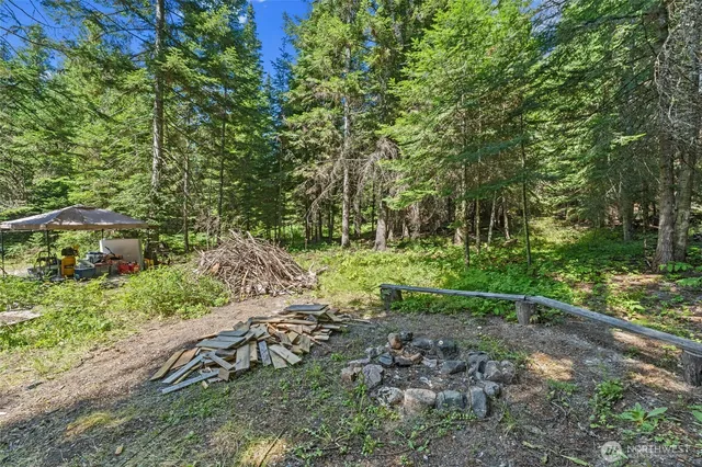 a view of backyard with green space