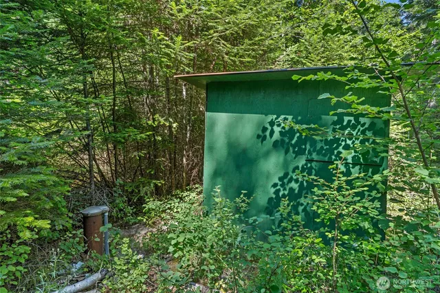 a close up of a plant in a garden