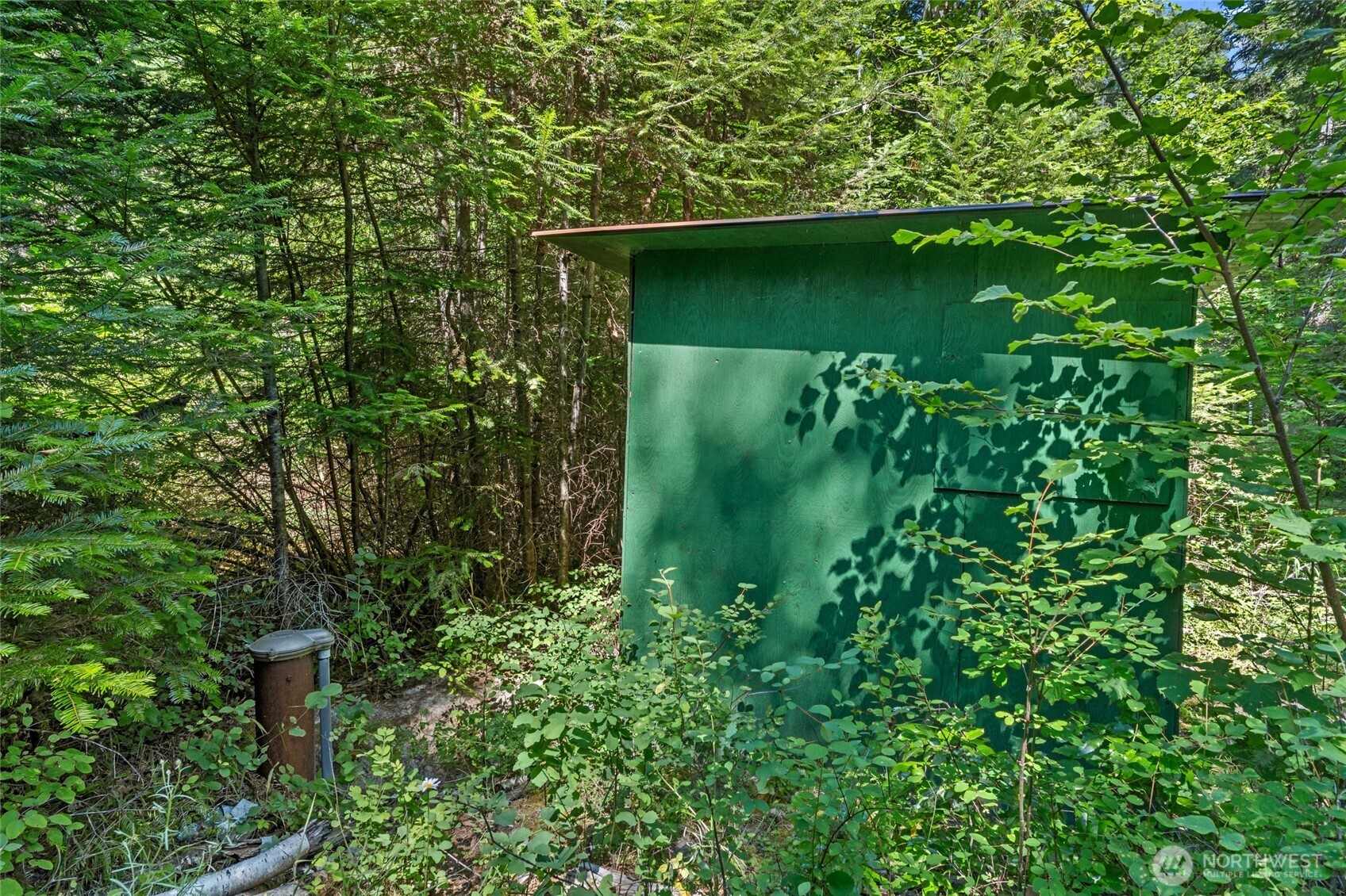 28922 LeClerc Road North Ione, WA 99139 - Photo 27 of 31 a close up of a plant in a garden