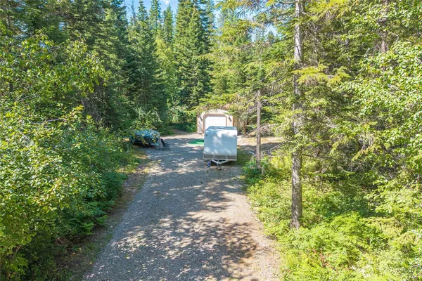 a view of a trees with a yard