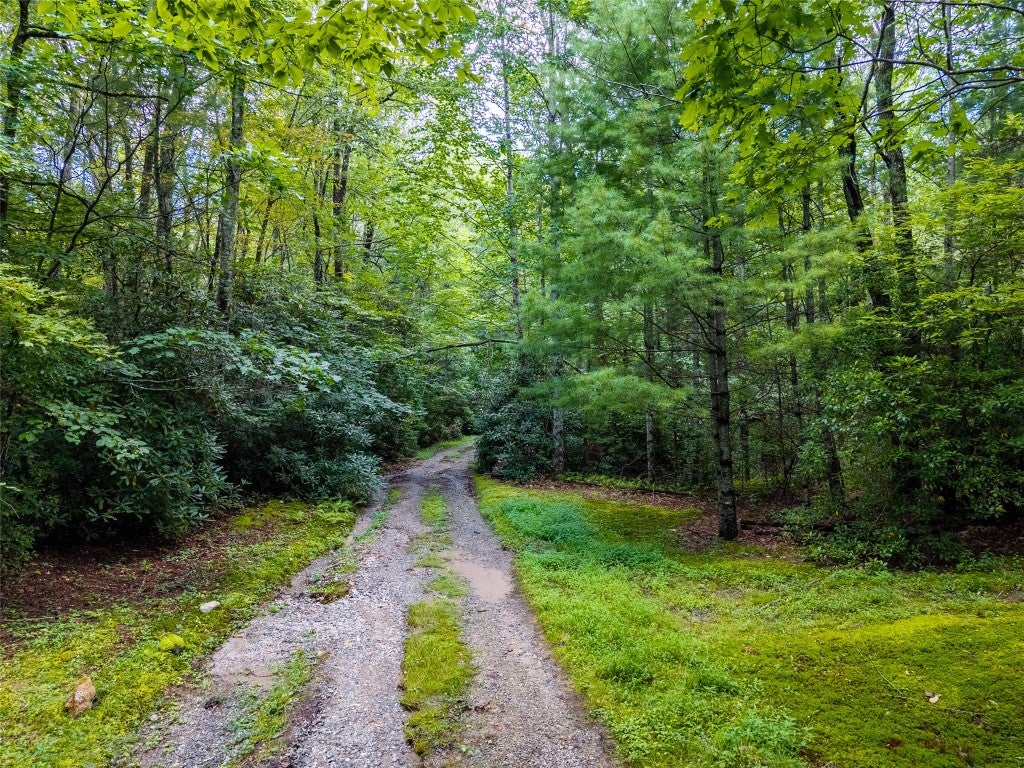 0 Little Terrapin Road Cashiers, NC 28717 - Photo 12 of 14 Gallery Image 12