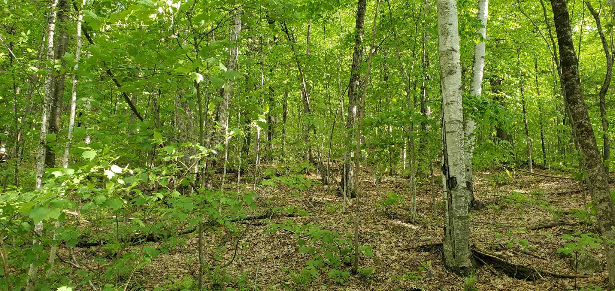 East Hill Road Wardsboro, VT 05355 - Photo 12 of 14