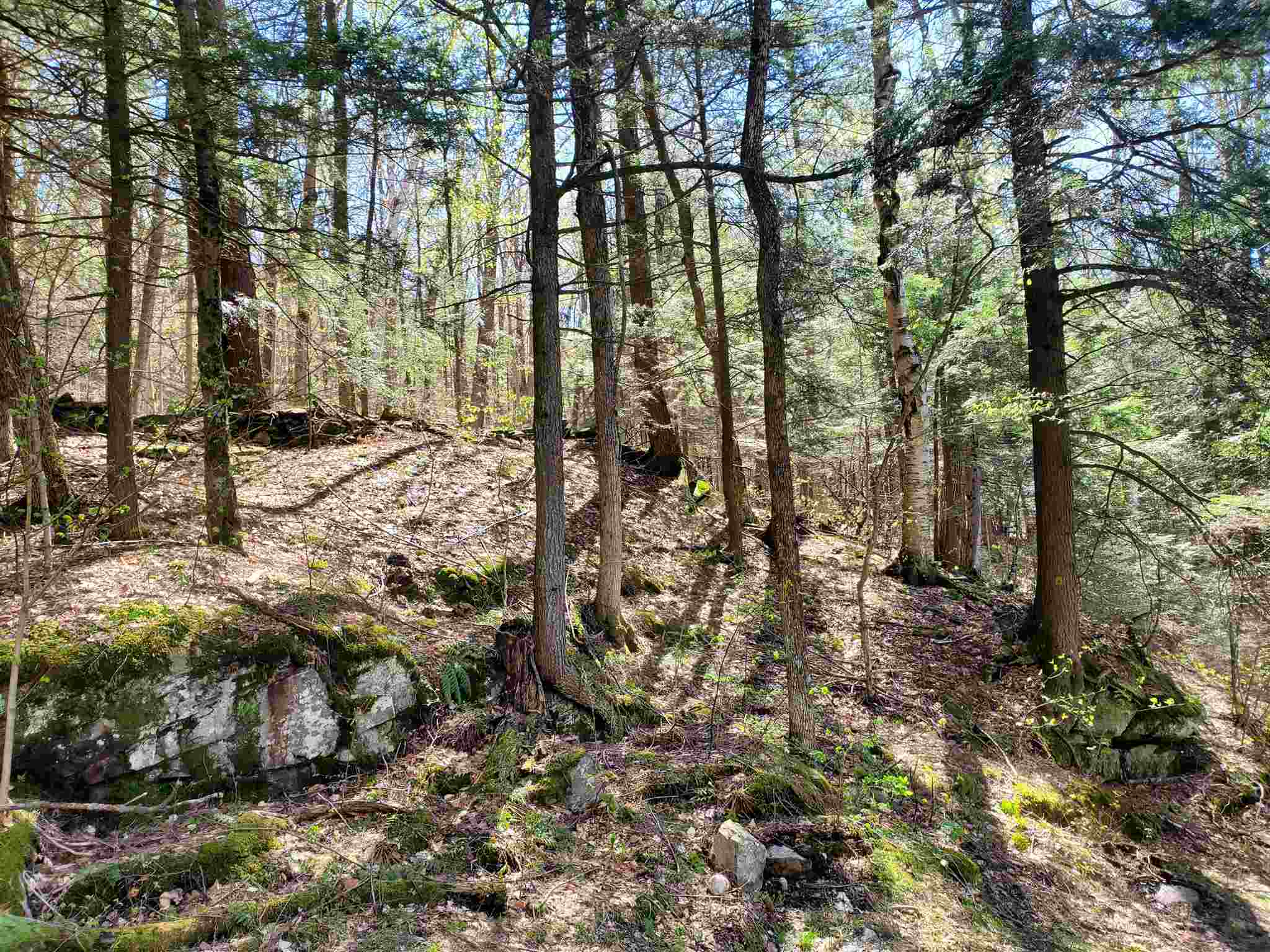 East Hill Road Wardsboro, VT 05355 - Photo 14 of 14