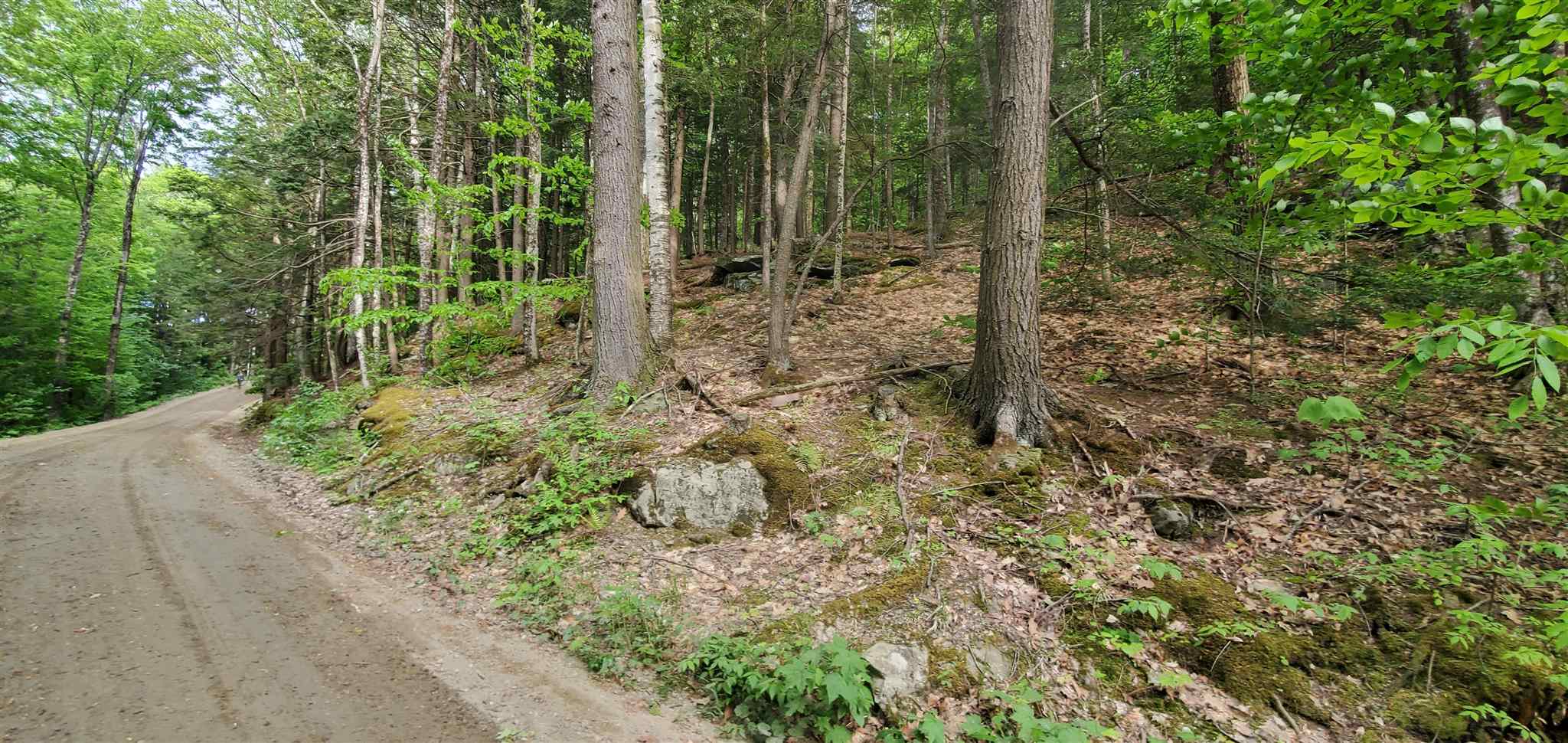 East Hill Road Wardsboro, VT 05355 - Photo 7 of 14