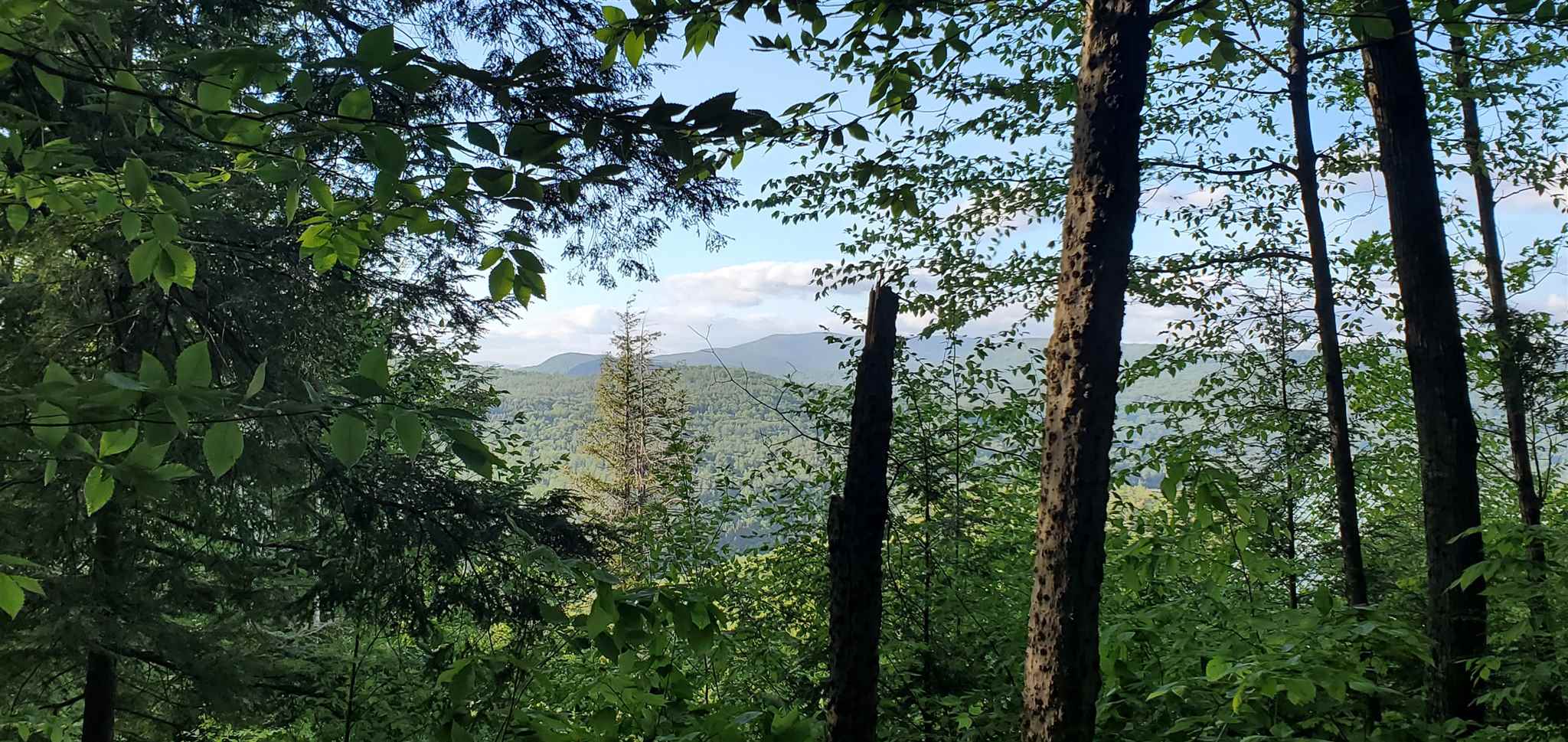 East Hill Road Wardsboro, VT 05355 - Photo 8 of 14