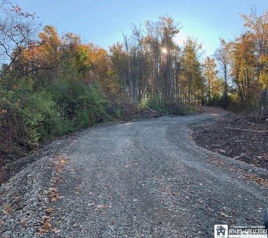 2612 West Lake Road North Harmony, NY 14710 - Photo 5 of 15