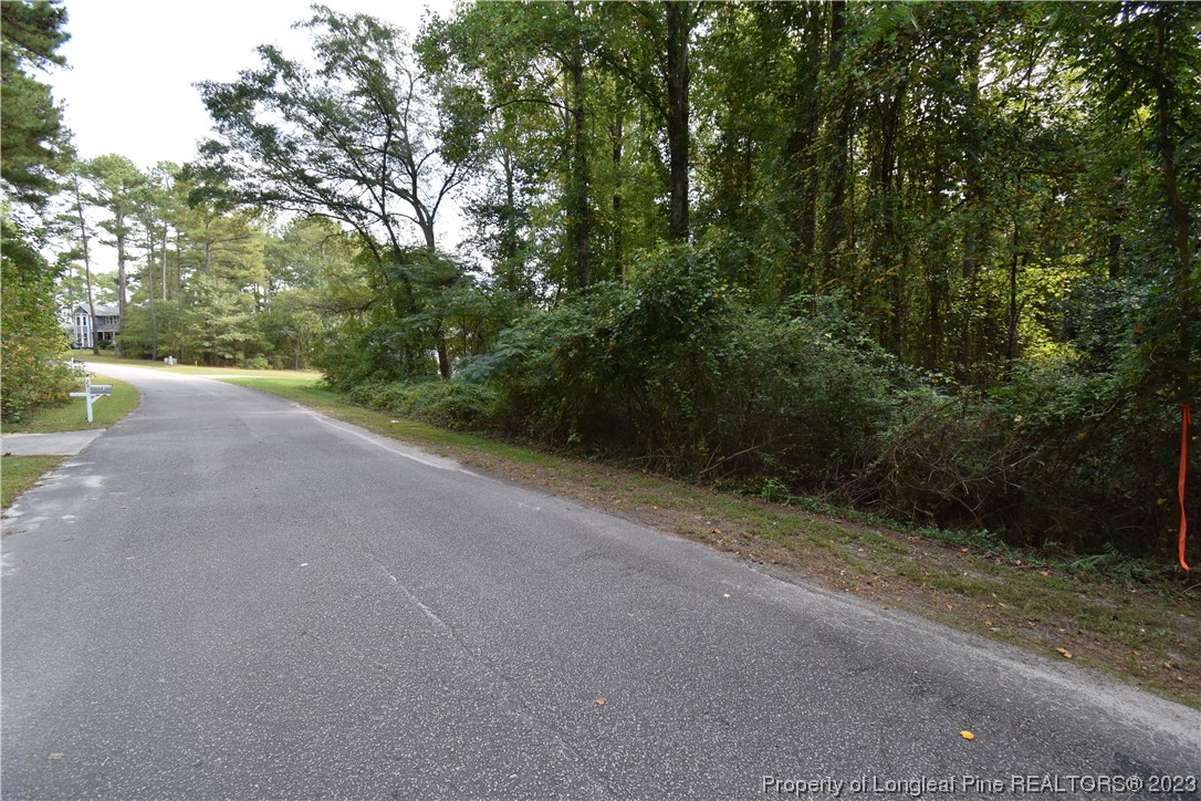 Pineridge Drive Cameron, NC 28326 - Photo 3 of 6 a view of a dirt road with trees in the background