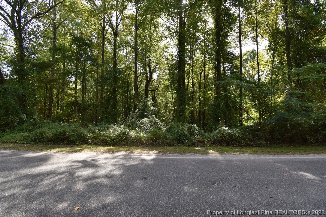 Pineridge Drive Cameron, NC 28326 - Photo 4 of 6 a view of outdoor space and yard