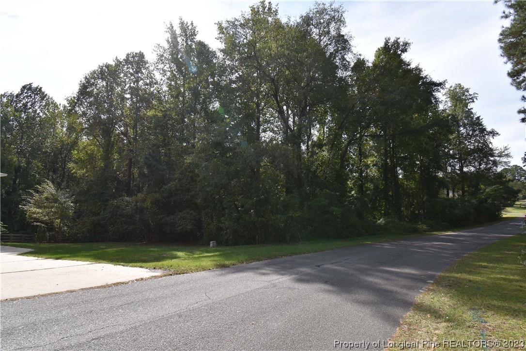 Pineridge Drive Cameron, NC 28326 - Photo 5 of 6 a view of a yard