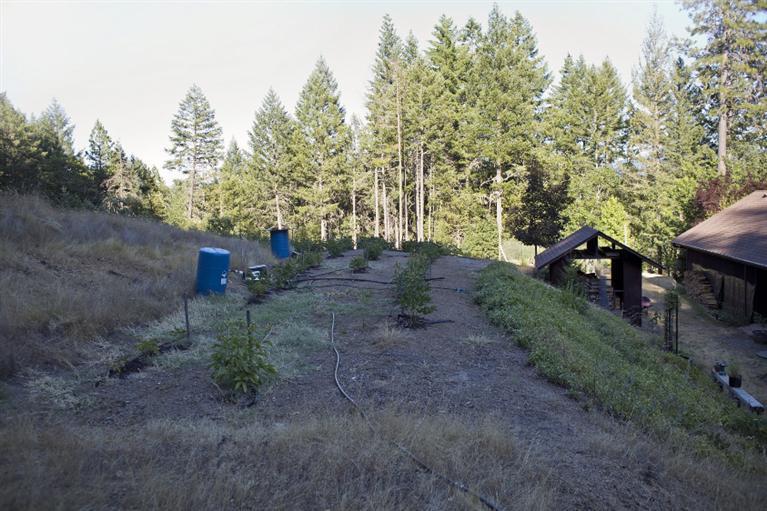 180 Buck Canyon Road Cave Junction, OR 97523 - Photo 14 of 35 Additional Photo