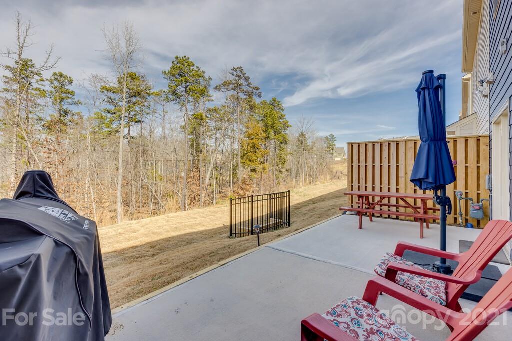 634 Amber Meadows Way, Unit 295 Tega Cay, SC 29708 - Photo 31 of 33