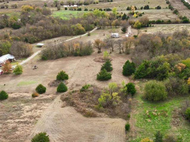 a view of a yard with plants
