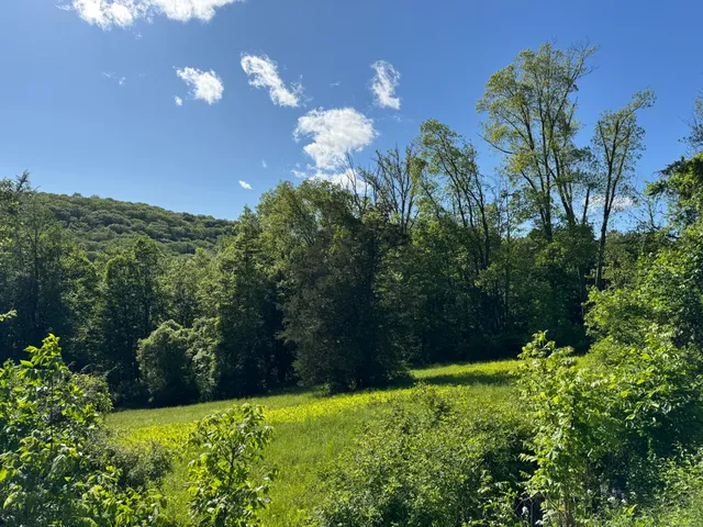 a view of a yard with a house