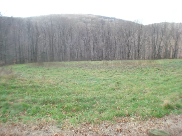 a view of backyard with wooden fence