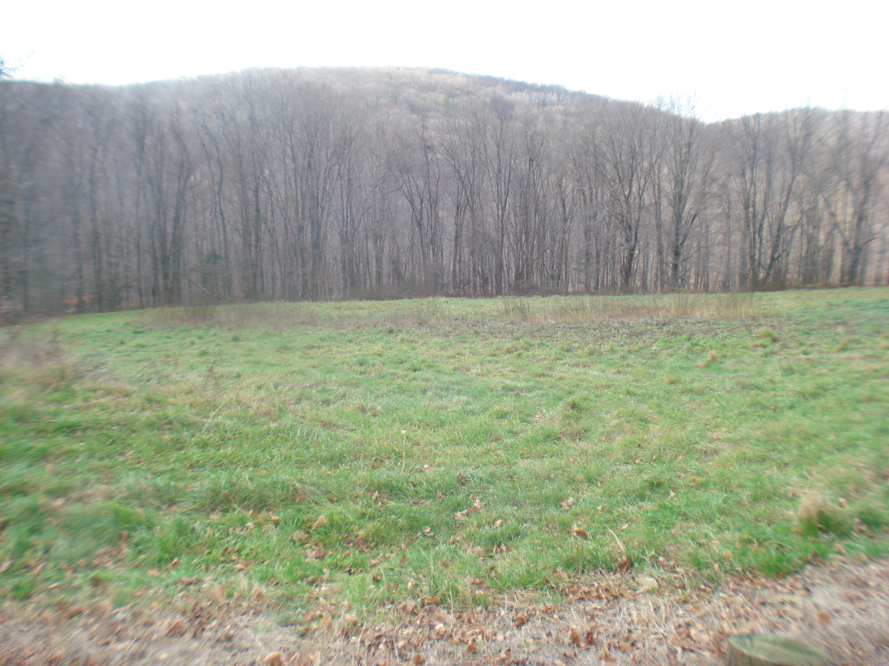 39 South State Route Sherman, CT 06784 - Photo 6 of 10 a view of backyard with wooden fence