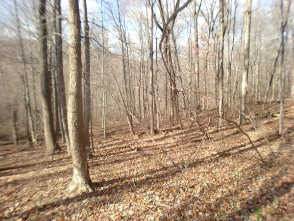 a view of a backyard of the house