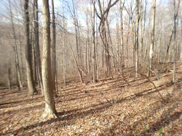 a view of a backyard of the house