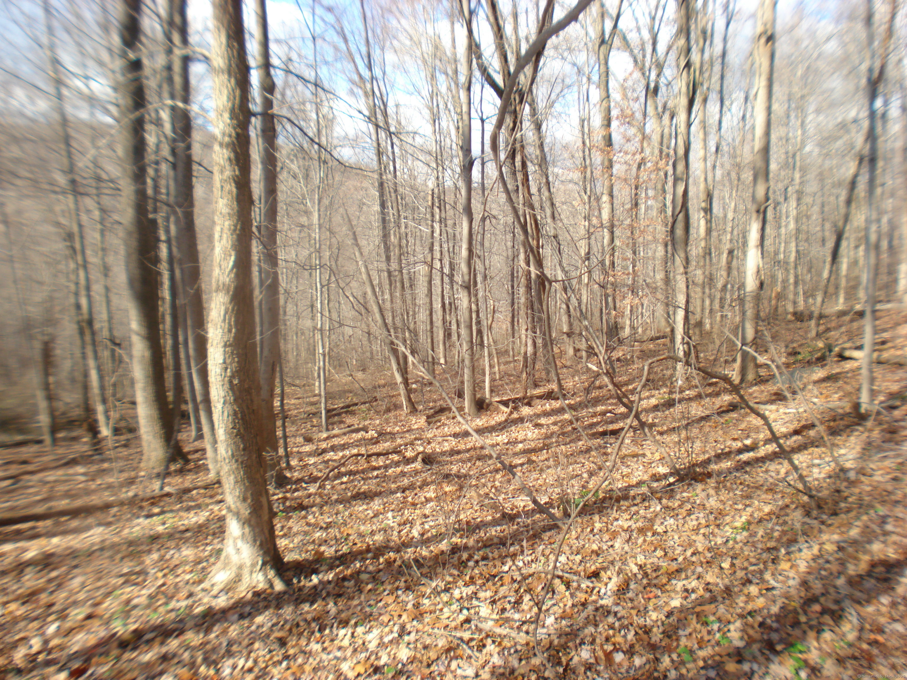 39 South State Route Sherman, CT 06784 - Photo 9 of 10 a view of a backyard of the house