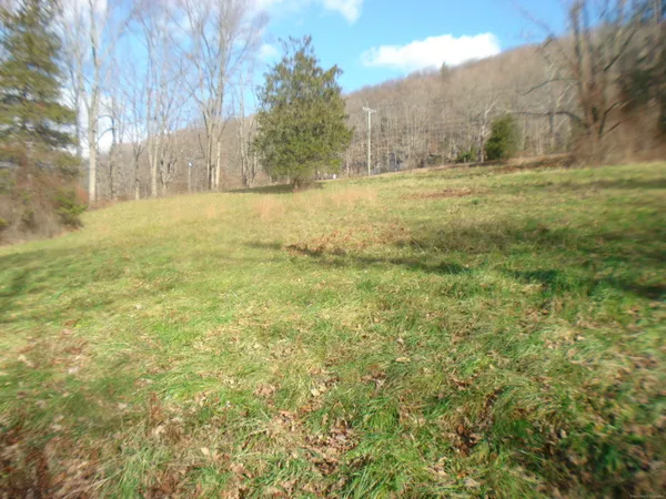 a view of a yard with an trees