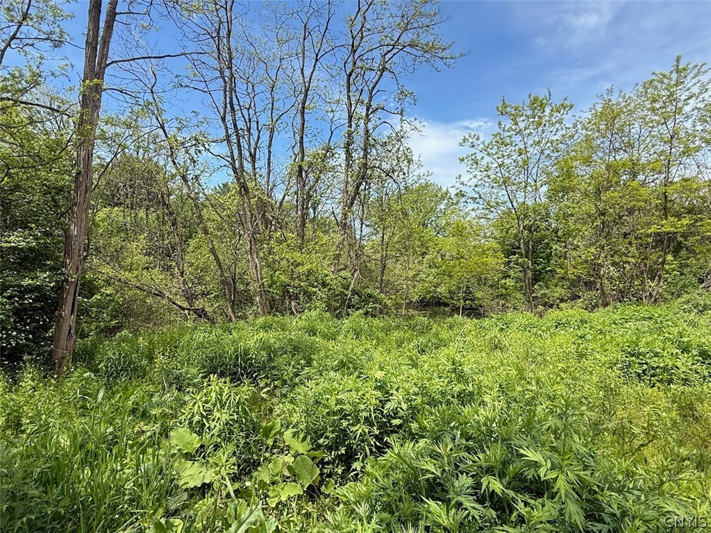 1559 County Rte 48 Sandy Creek, NY 13083 - Photo 5 of 29