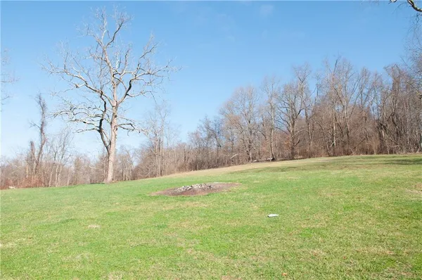 a view of yard with trees
