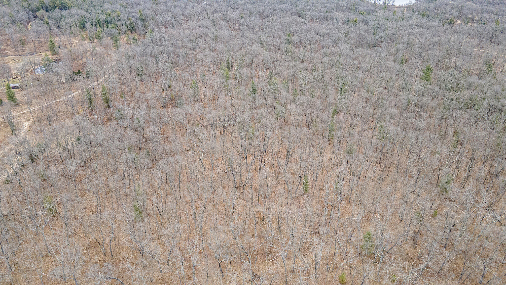 V/l North Woodbridge Road Bitely, MI 49309 - Photo 16 of 20 dji_0640_918