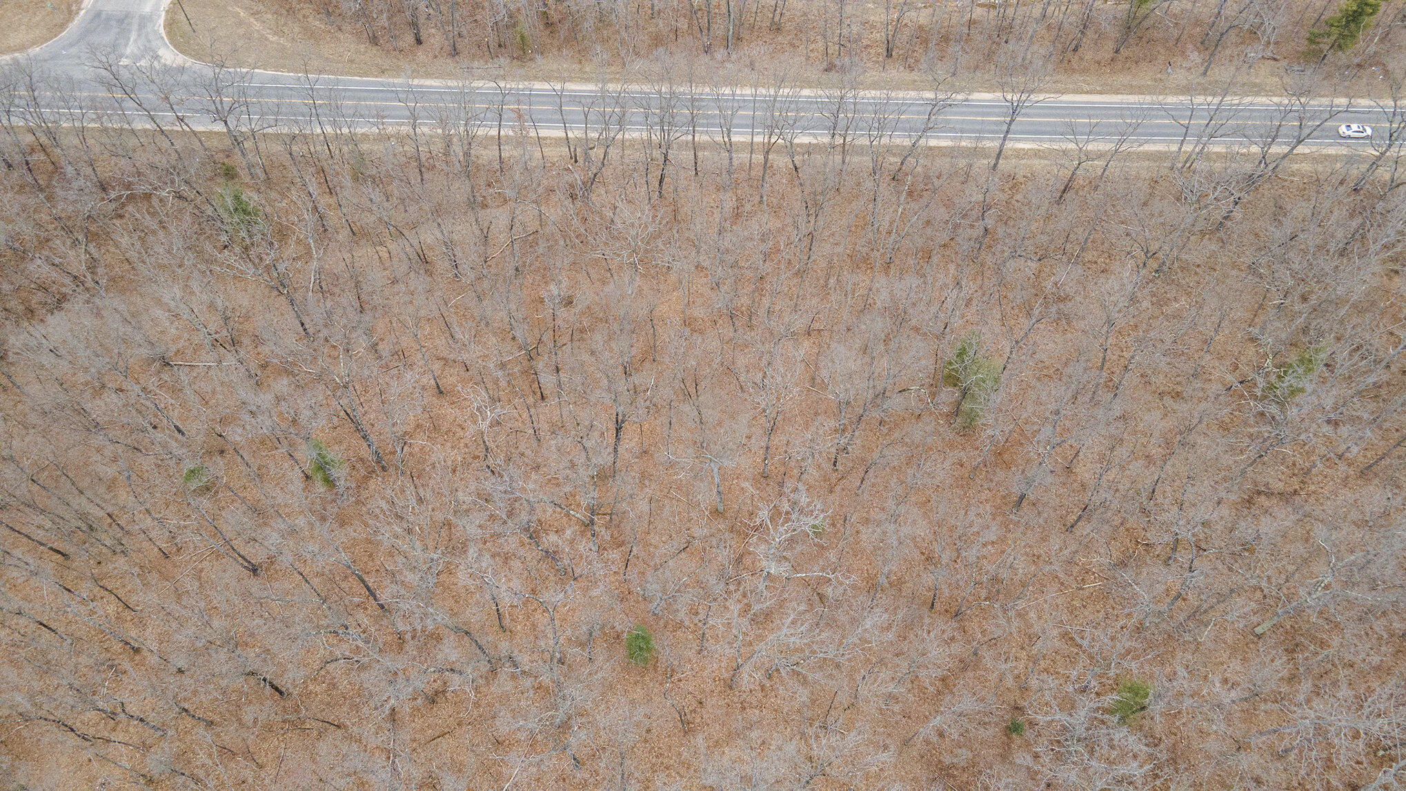 V/l North Woodbridge Road Bitely, MI 49309 - Photo 17 of 20 dji_0651_604