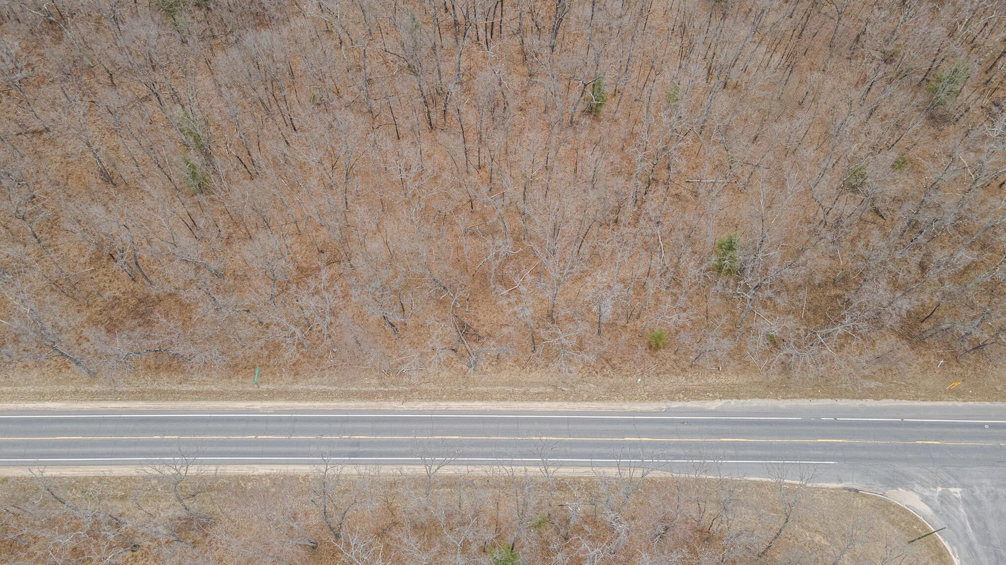 V/l North Woodbridge Road Bitely, MI 49309 - Photo 20 of 20 dji_0634_572