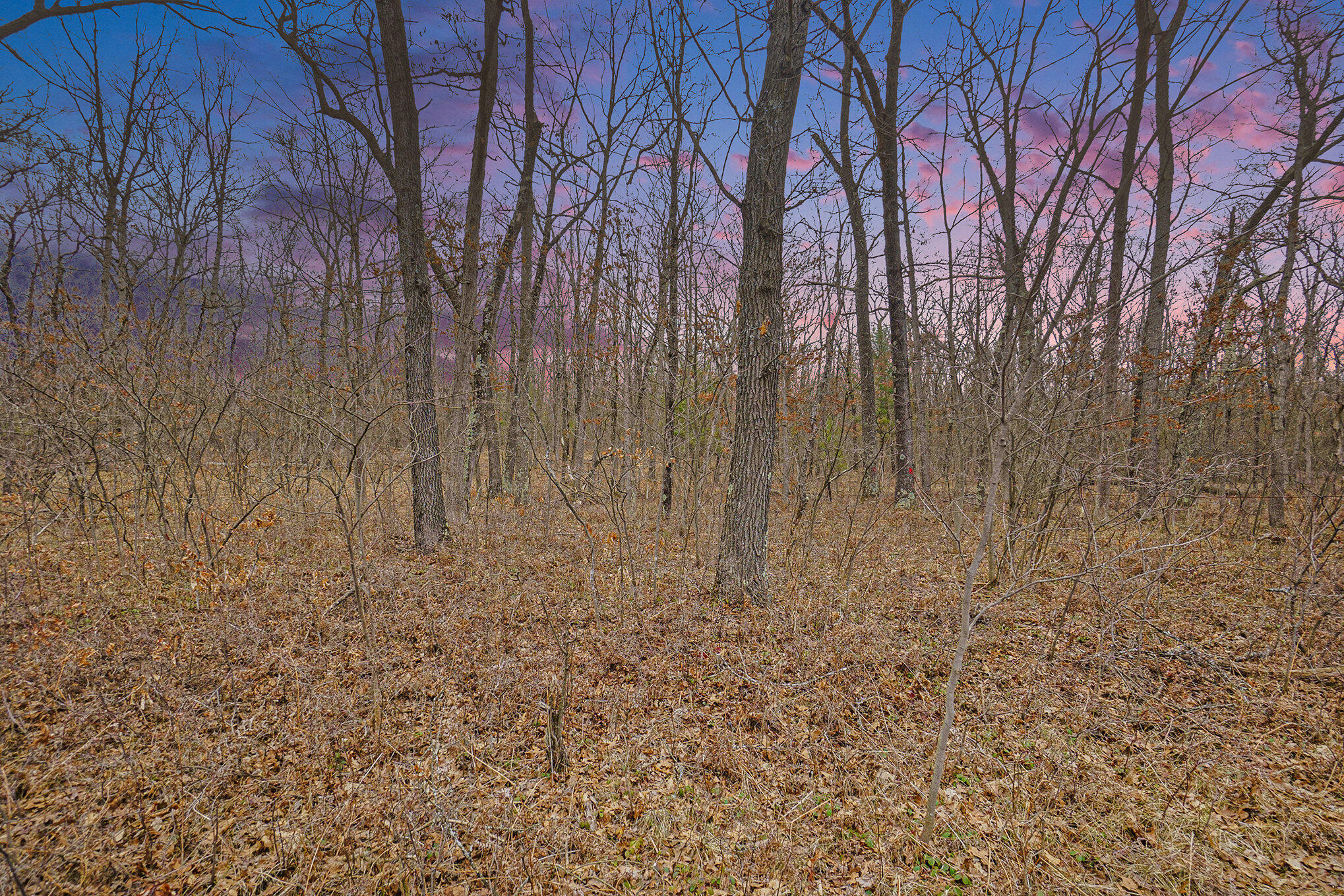 V/l North Woodbridge Road Bitely, MI 49309 - Photo 9 of 20 001_dsc06665-_547