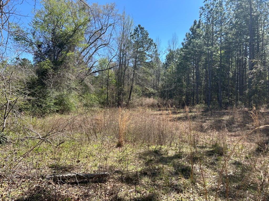 923 Lakeview Road Slocomb, AL 36375 - Photo 37 of 45
