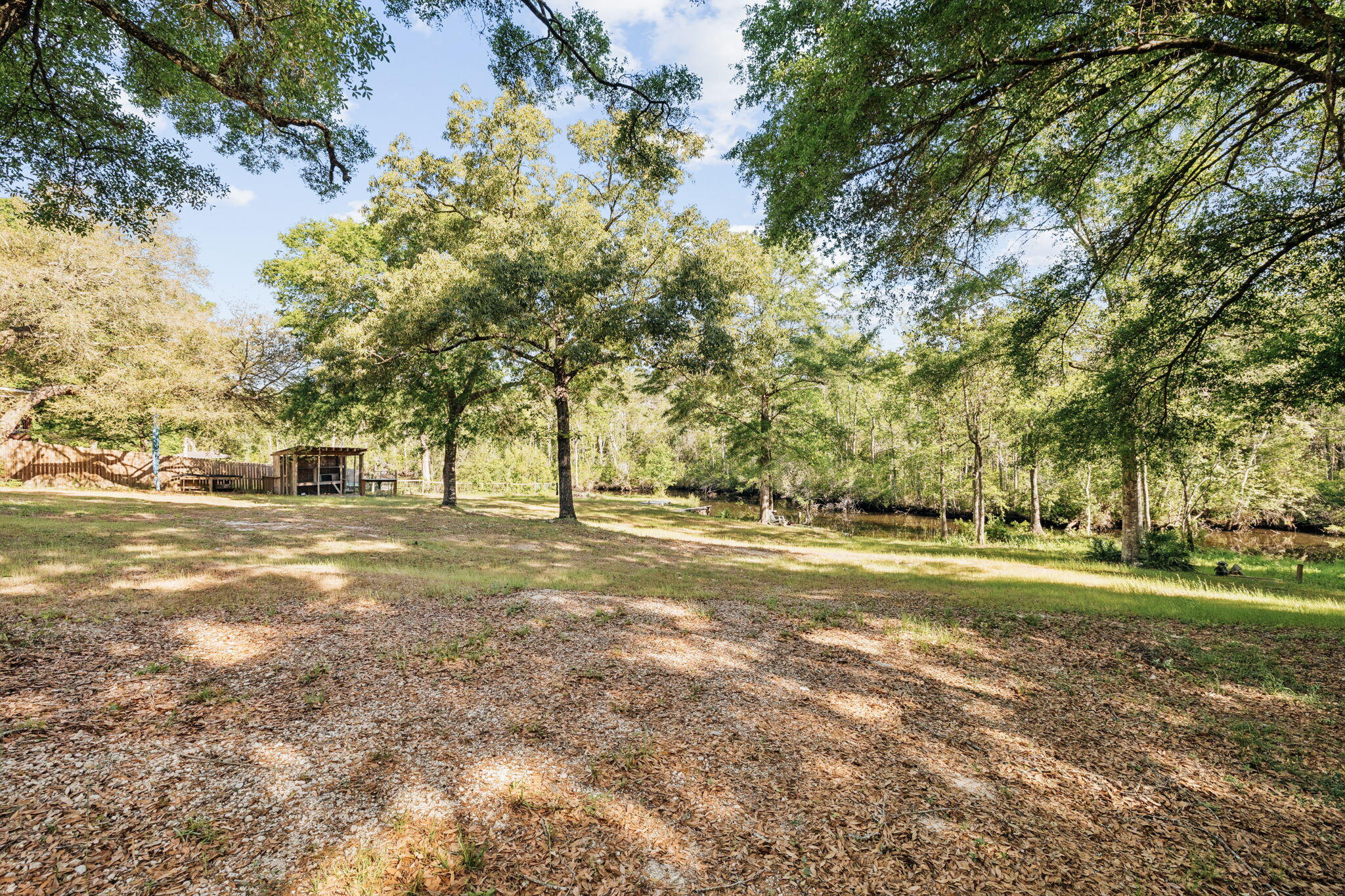 748 Phillips Drive Freeport, FL 32439 - Photo 32 of 32 a view of a big yard with large trees