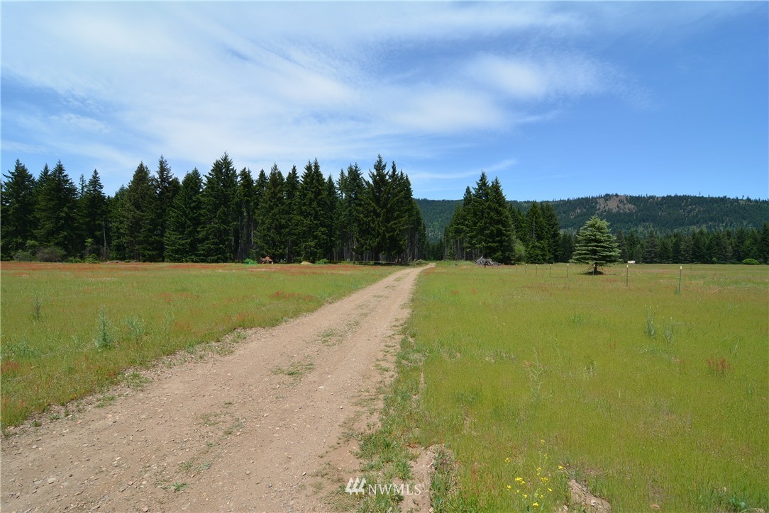 6 Nelson Siding Road Cle Elum, WA 98922 - Photo 14 of 15