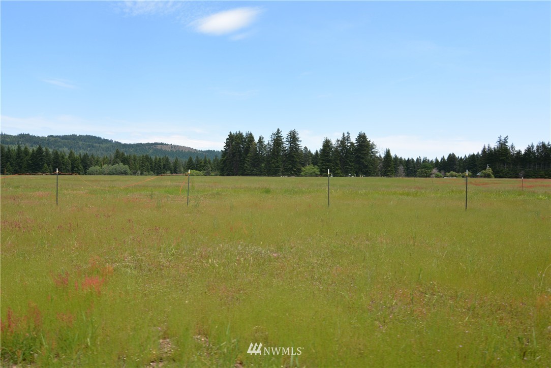 6 Nelson Siding Road Cle Elum, WA 98922 - Photo 3 of 15
