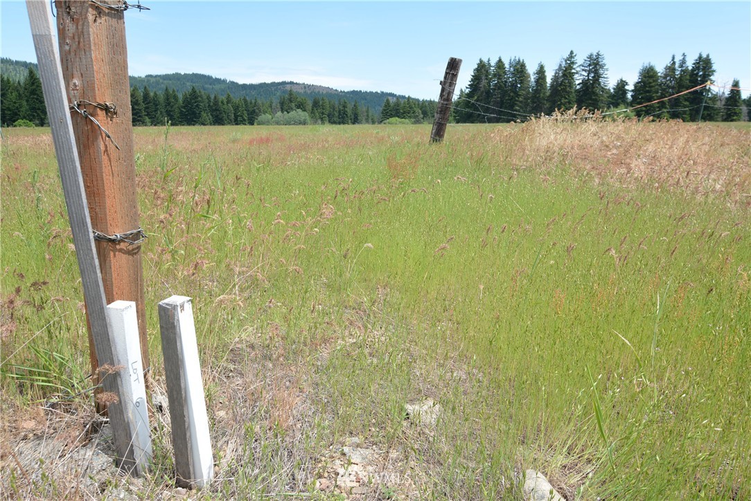 6 Nelson Siding Road Cle Elum, WA 98922 - Photo 8 of 15