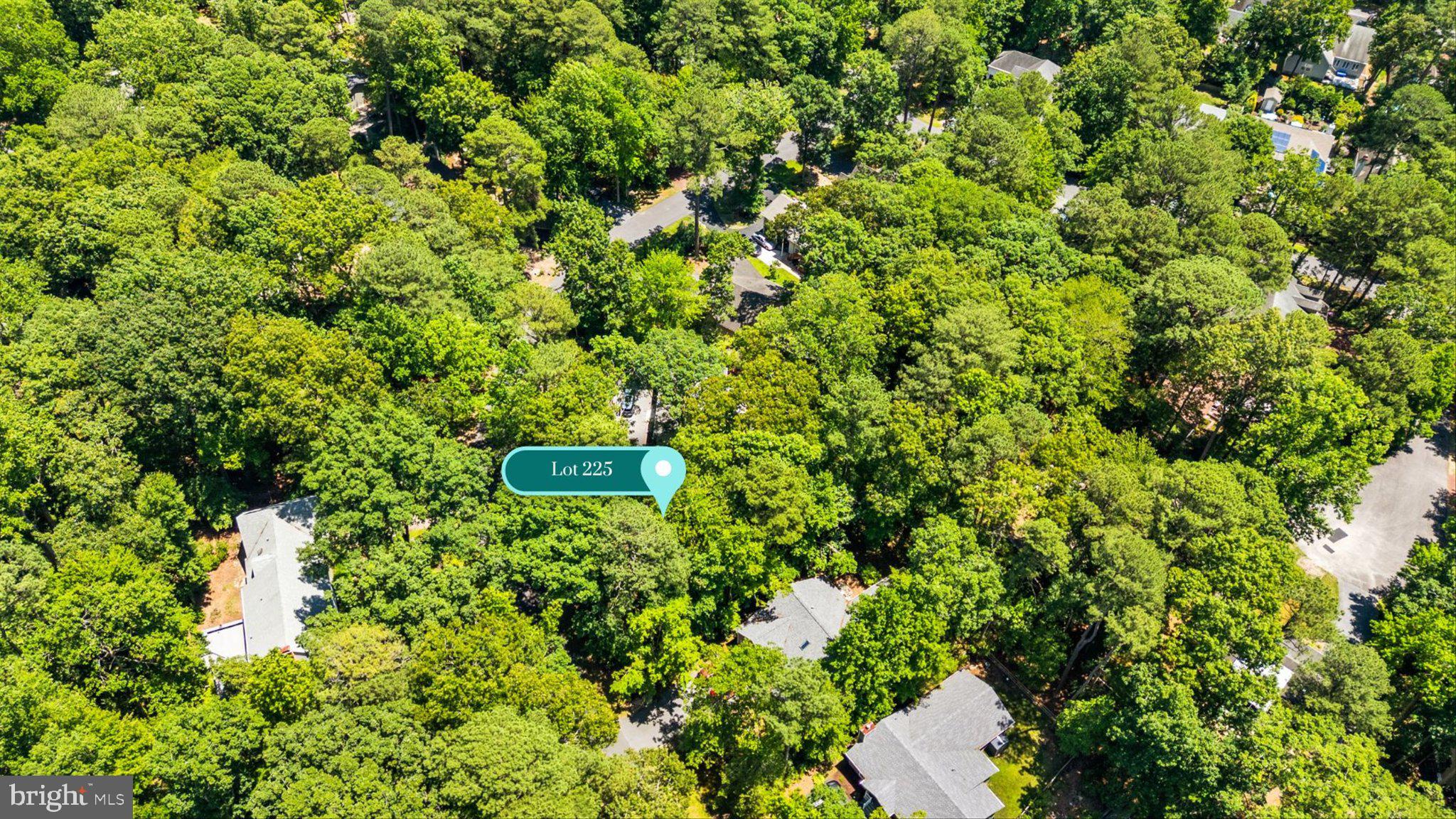 12 Moonraker Road Ocean Pines, MD 21811 - Photo 7 of 17 Serene wooded lot awaits your vision.