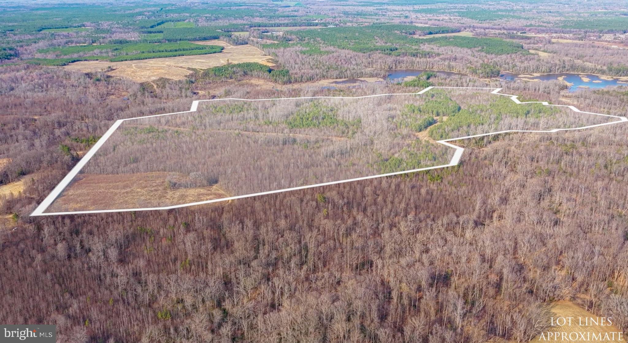 a view of outdoor space