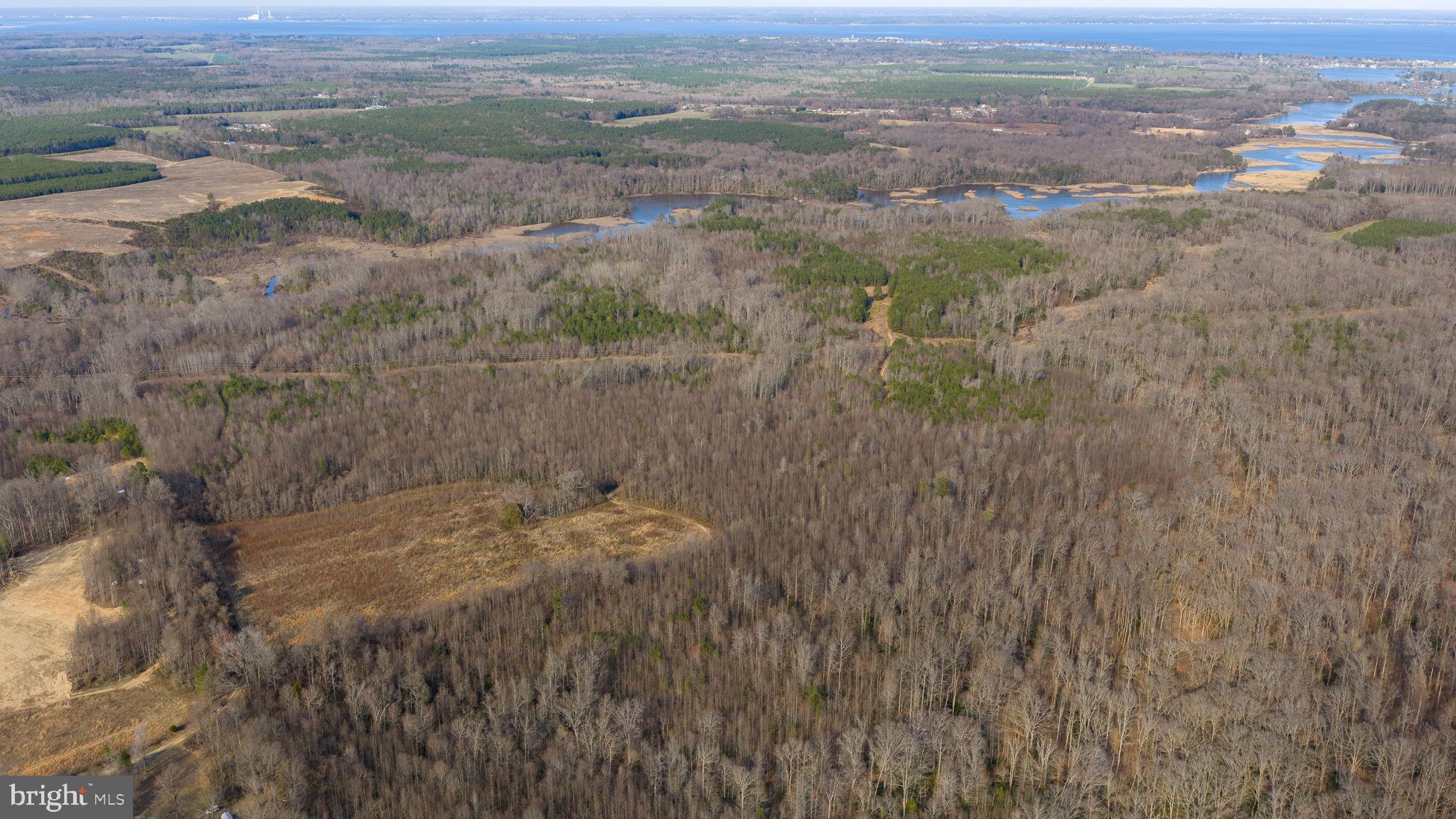 Trigger Lane Colonial Beach, VA 22443 - Photo 15 of 21 a view of a dry yard