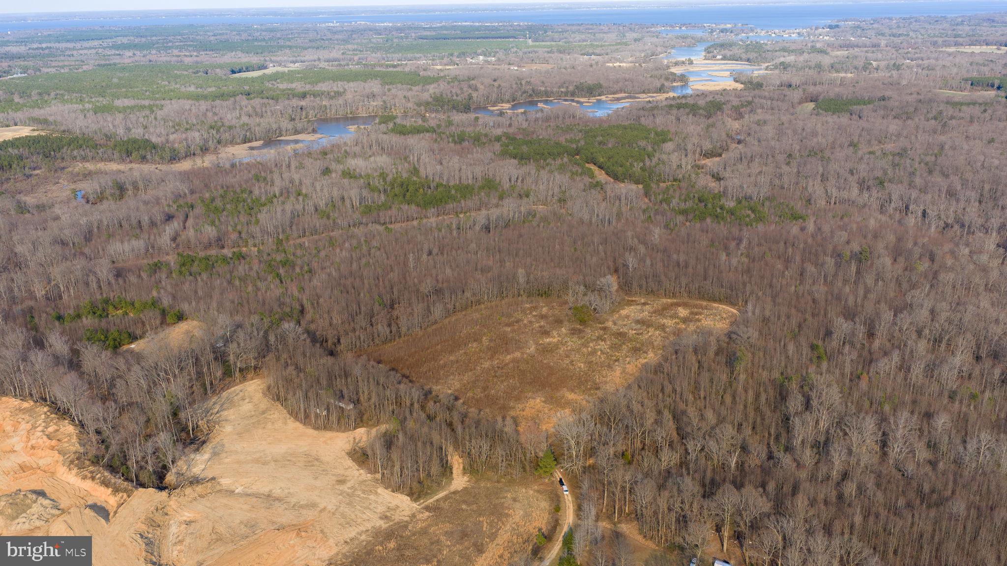 Trigger Lane Colonial Beach, VA 22443 - Photo 16 of 21 a view of a dry yard