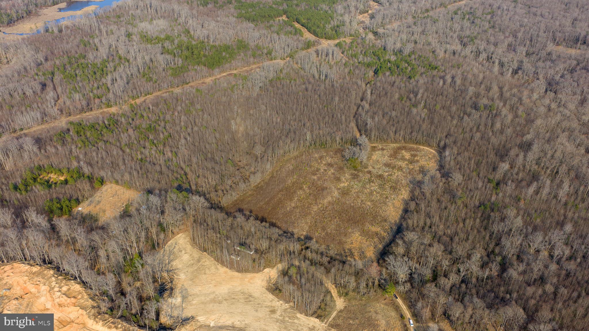 Trigger Lane Colonial Beach, VA 22443 - Photo 17 of 21 a view of a dry yard