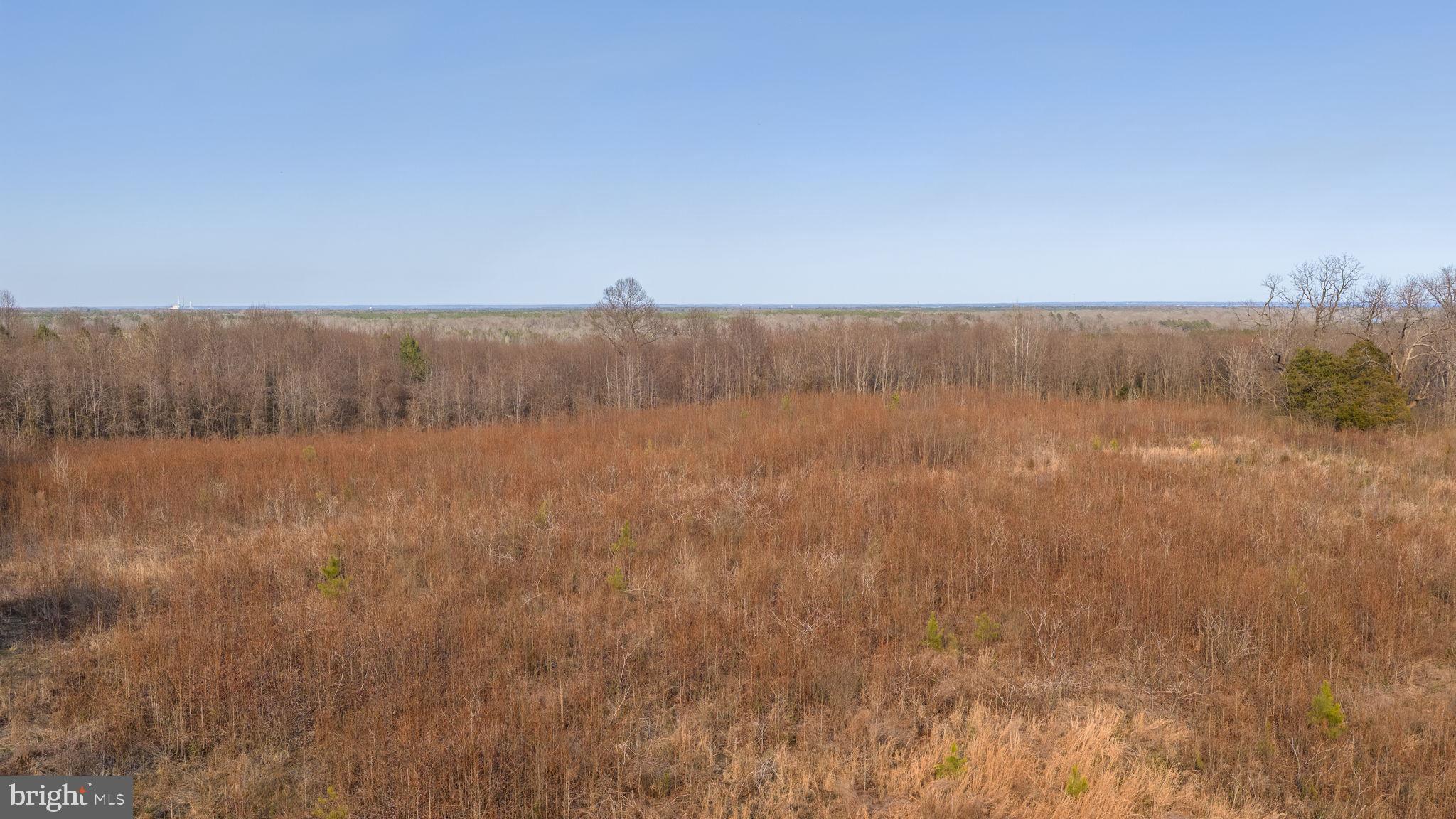 Trigger Lane Colonial Beach, VA 22443 - Photo 19 of 21 a view of a dry yard with wooden fence