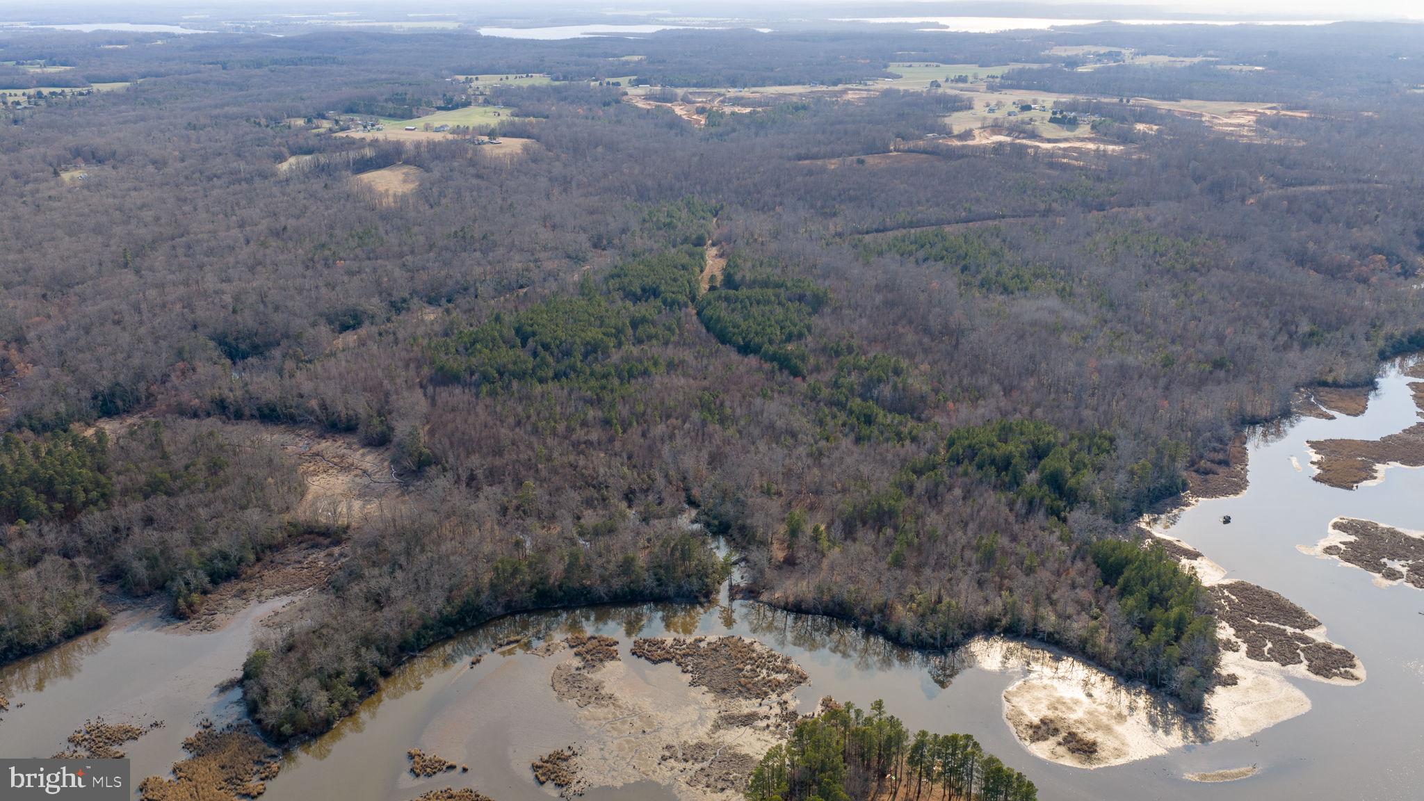 Trigger Lane Colonial Beach, VA 22443 - Photo 7 of 21 a view of a dry yard