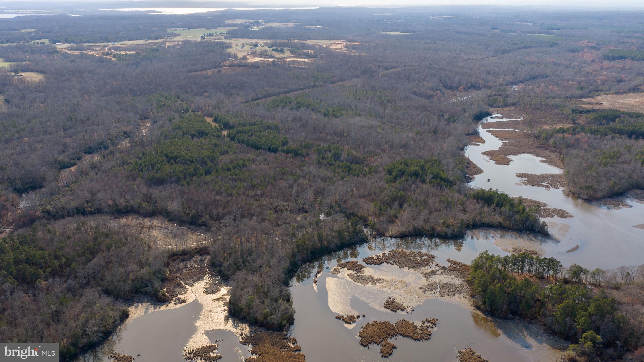 Trigger Lane Colonial Beach, VA 22443 - Photo 9 of 21 a view of a yard with trees