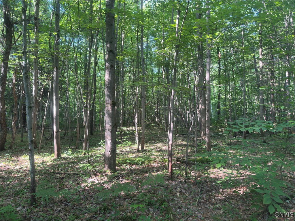 36130 Jackson II Road Champion, NY 13619 - Photo 3 of 10