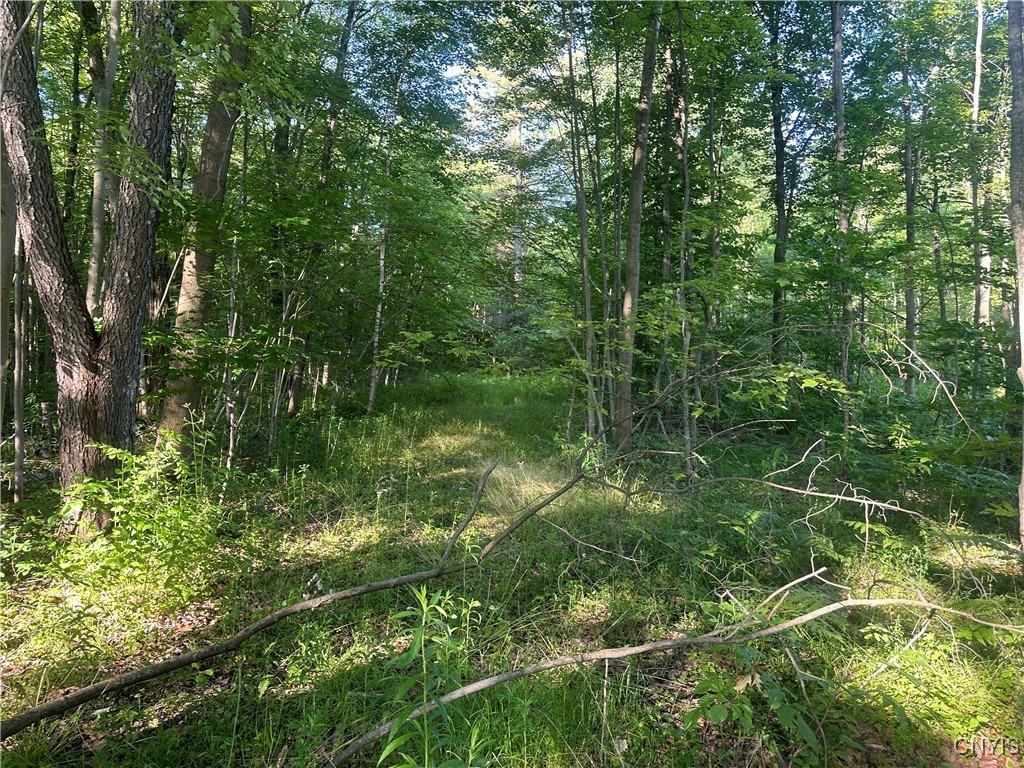 36130 Jackson II Road Champion, NY 13619 - Photo 7 of 10