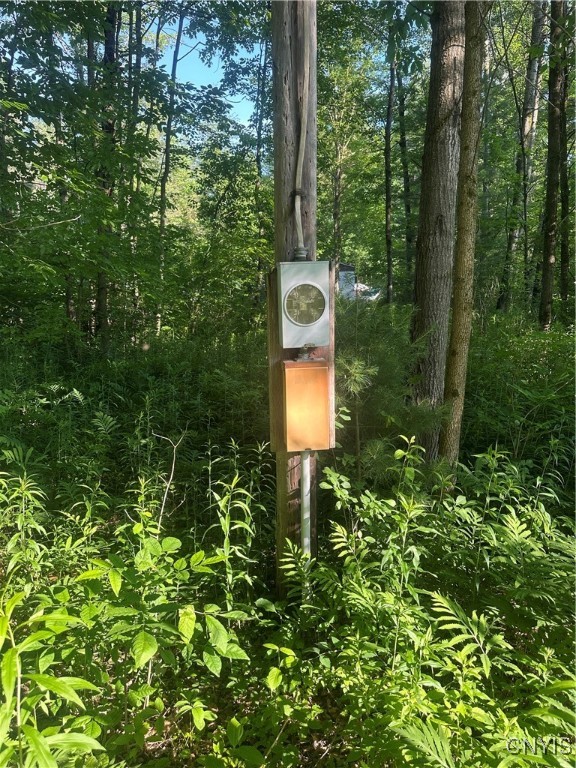 36130 Jackson II Road Champion, NY 13619 - Photo 8 of 10