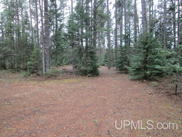 205 South Camp Road Ishpeming, MI 49849 - Photo 10 of 18 Gallery Image 10